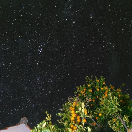 "Villa Servanda " - Relax, Nature, Wide Views Of The Sea And A Starry Sky Puntagorda Eksteriør bilde