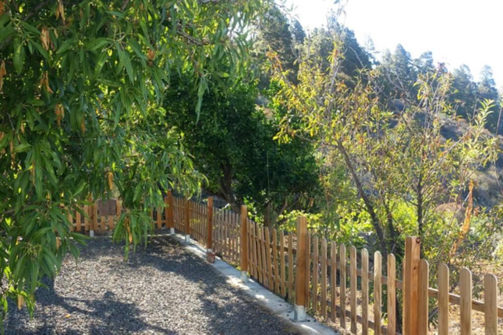 "Villa Servanda " - Relax, Nature, Wide Views Of The Sea And A Starry Sky Puntagorda Eksteriør bilde