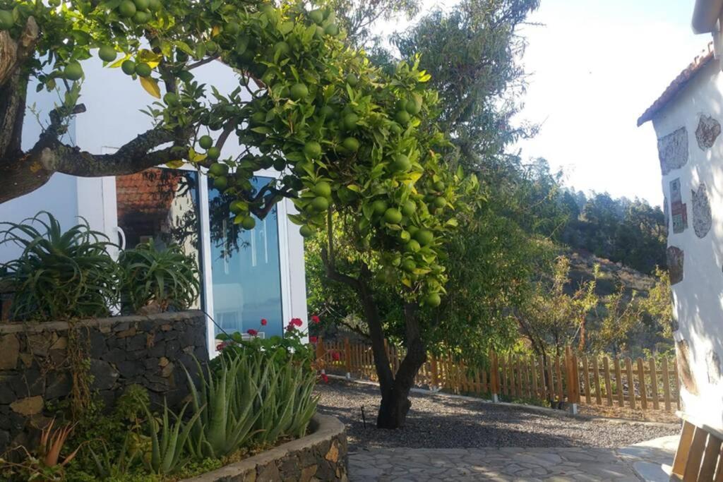 "Villa Servanda " - Relax, Nature, Wide Views Of The Sea And A Starry Sky Puntagorda Eksteriør bilde