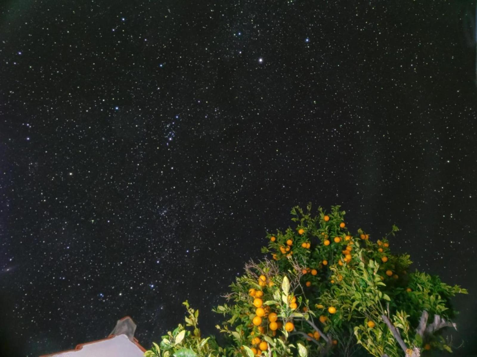 "Villa Servanda " - Relax, Nature, Wide Views Of The Sea And A Starry Sky Puntagorda Eksteriør bilde